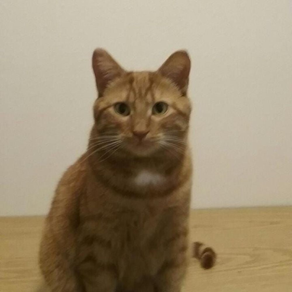 Meet your Posher, Chesney